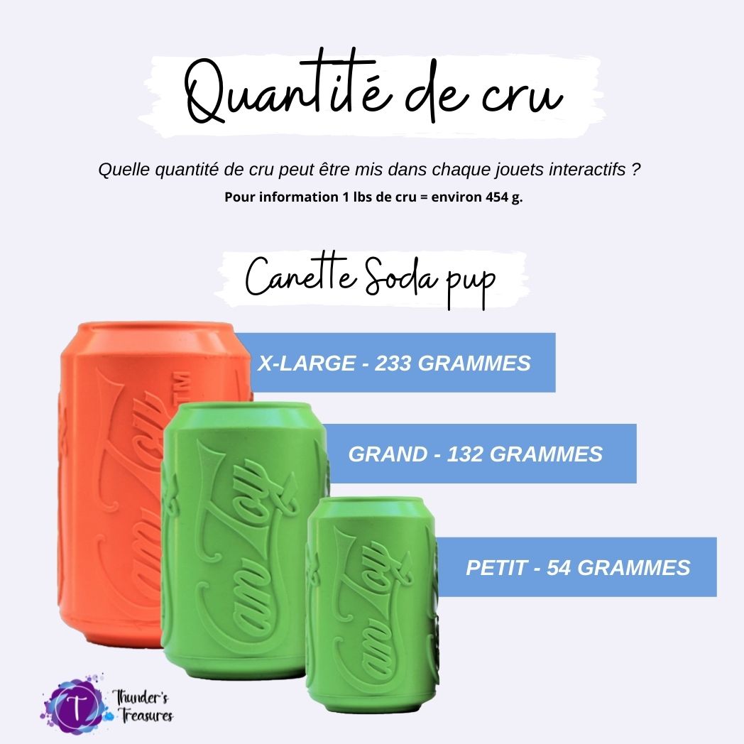 Cannette de soda