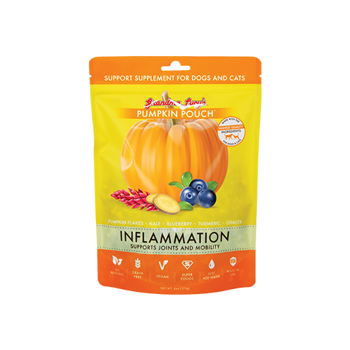 Sachet de poudre de citrouille (Inflammation)