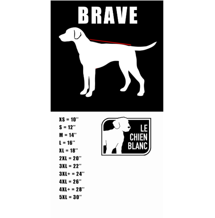Manteau imperméable BRAVE - Le Chien Blanc
