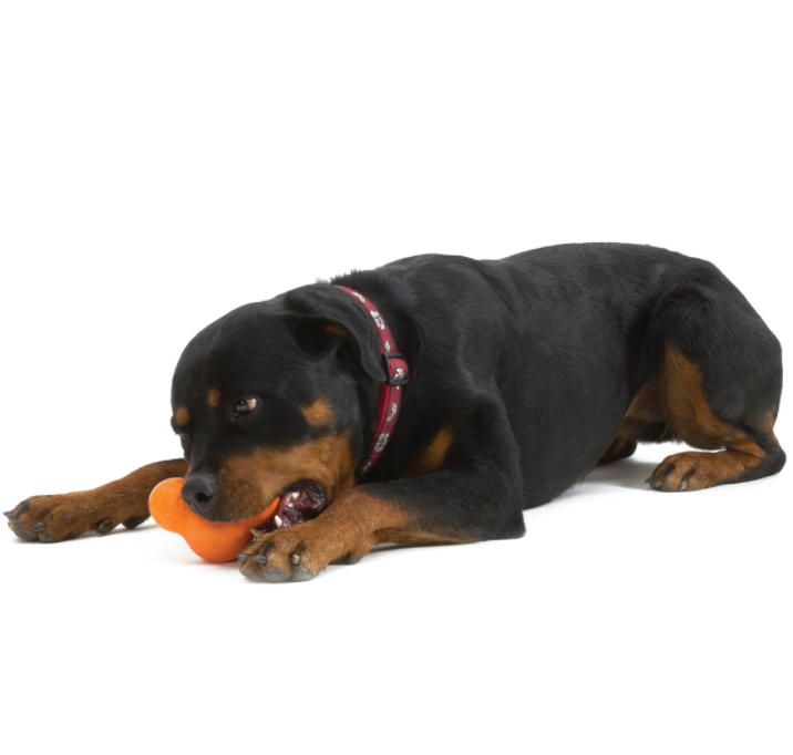 Tux - jouet interactif West Paw