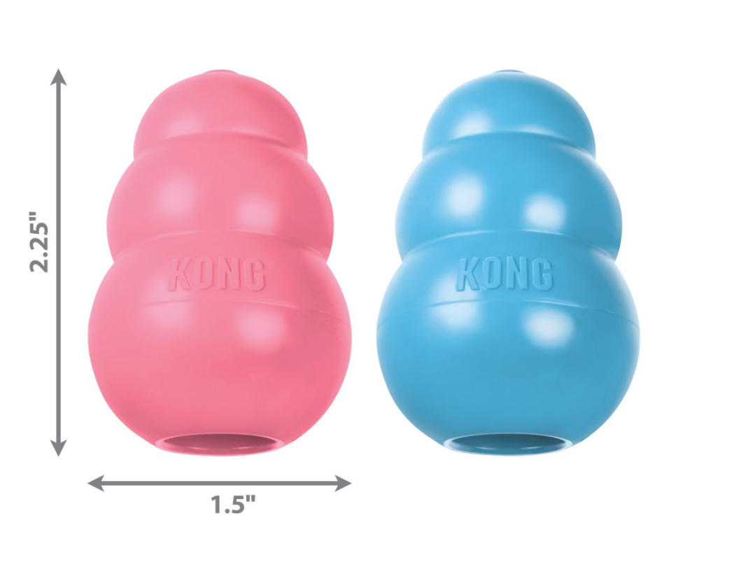 Kong pour chiot - Kong