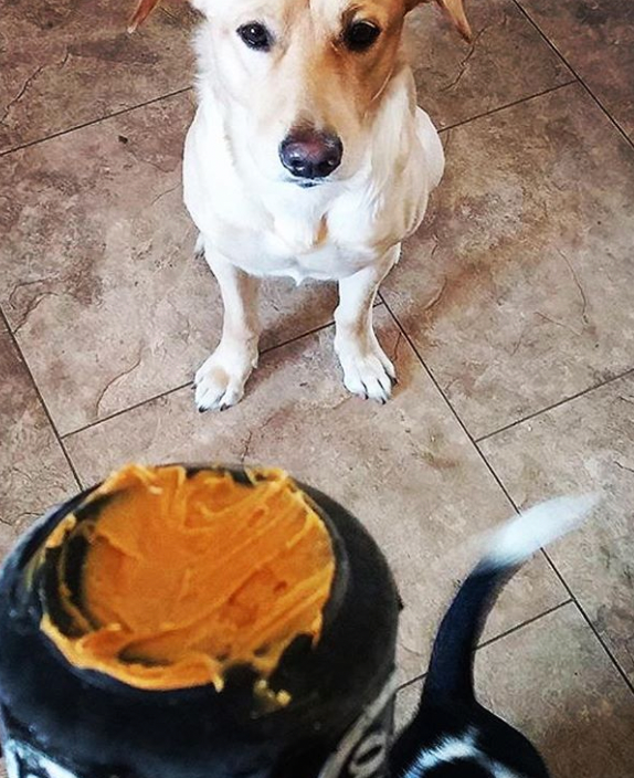 Canette ultra durable