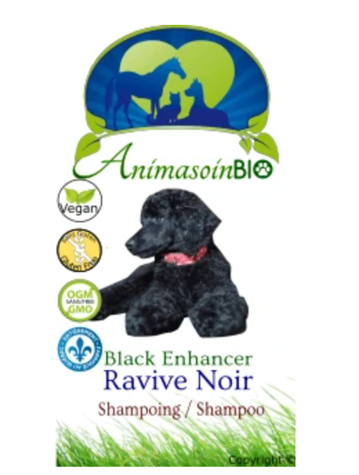 Shampoing ravive noir - Animasoin