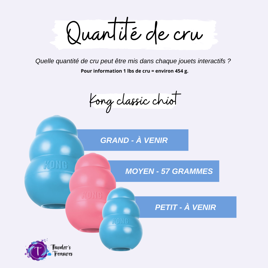Kong pour chiot - Kong