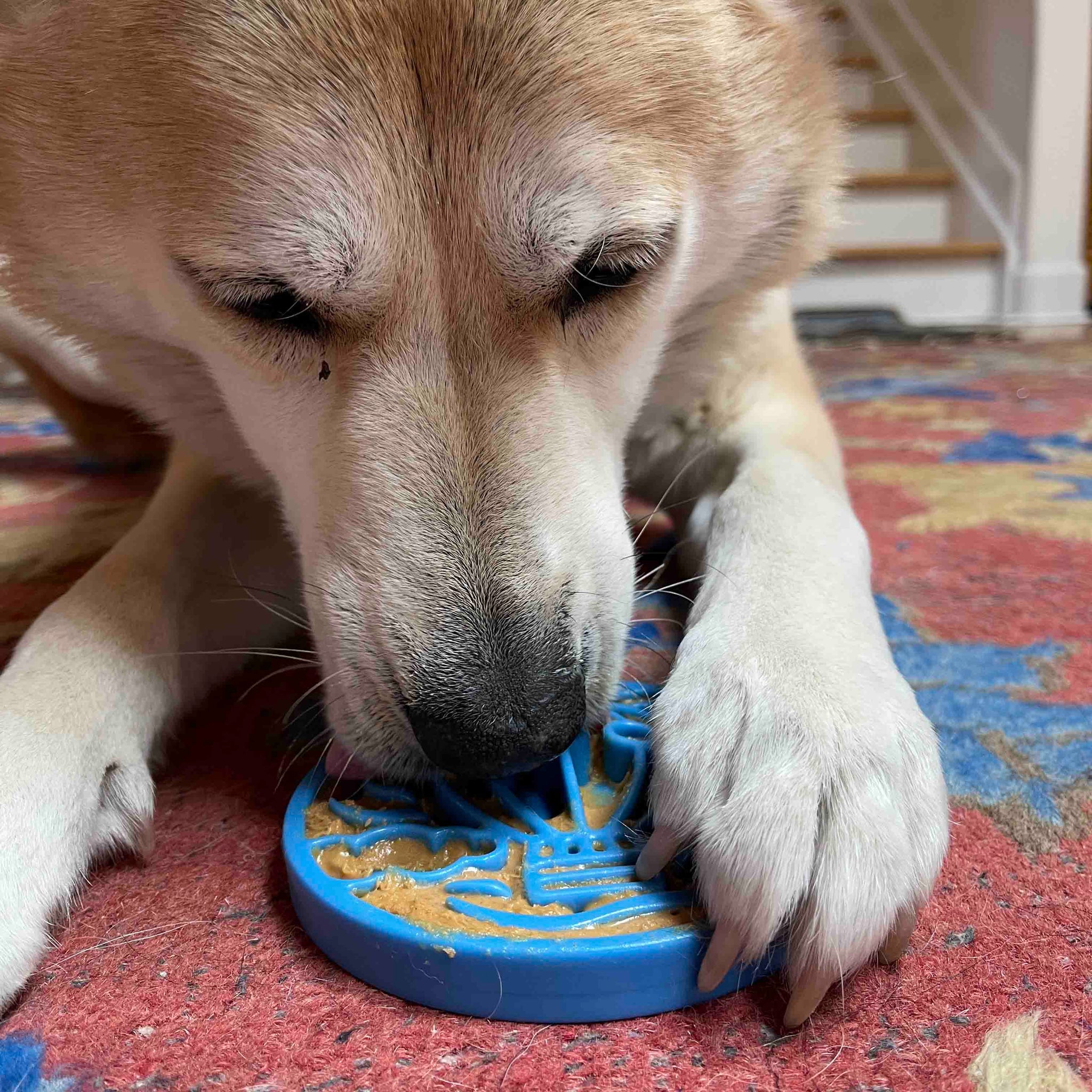 Emat - Montgolfière ultra durable