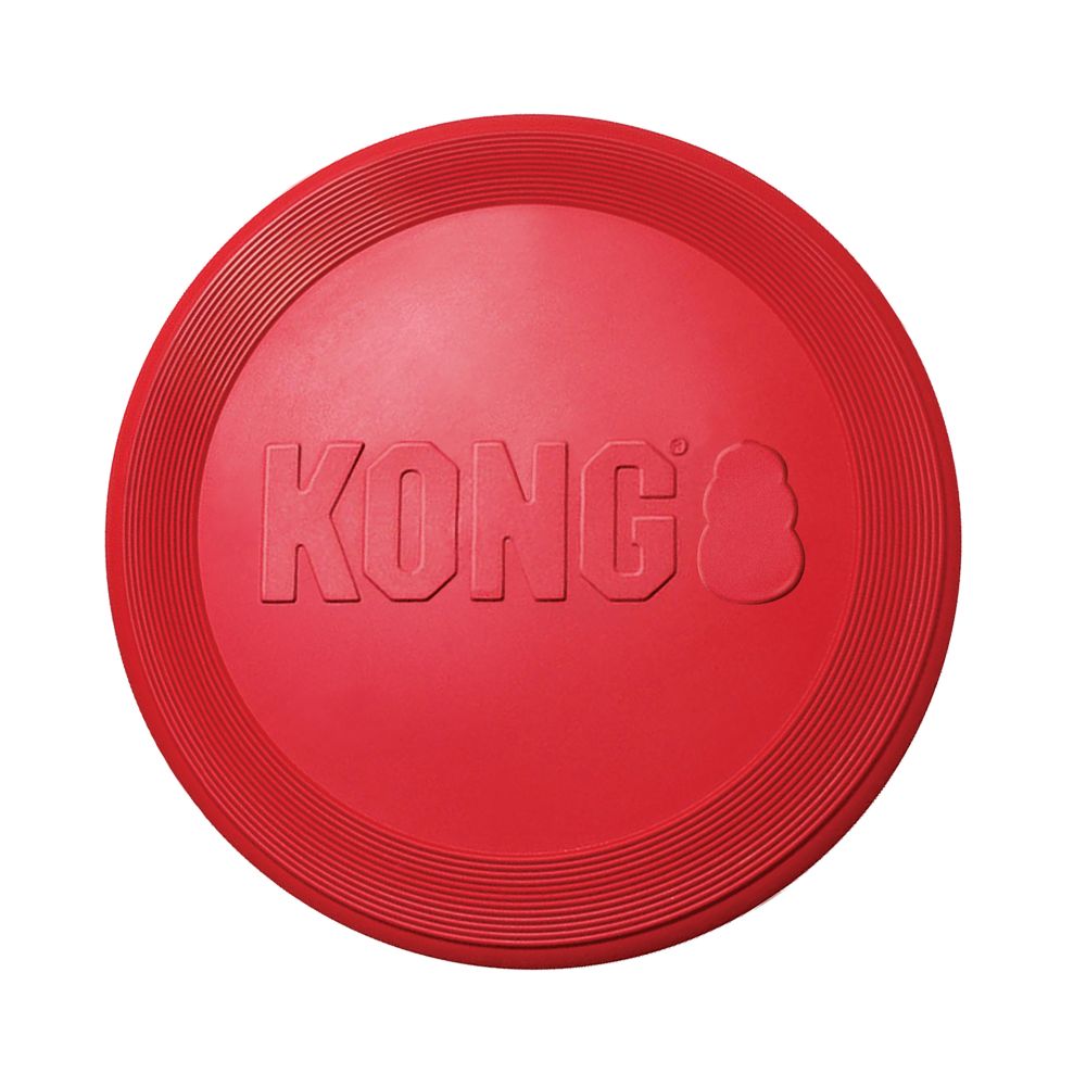 Flyer - Kong