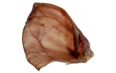 Oreille de porc géante - WaWWaw