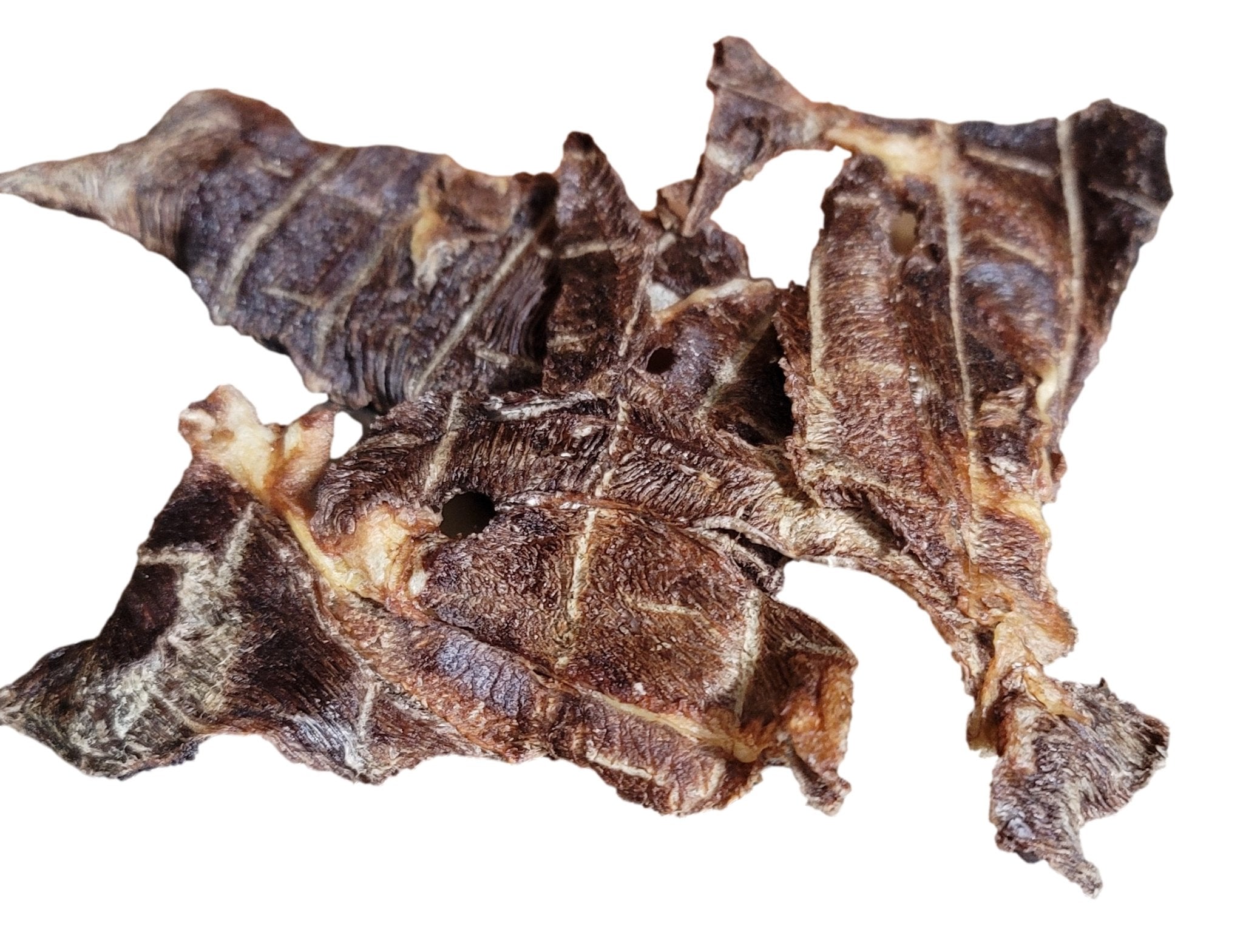 Jerky de chameau - Only One Treats