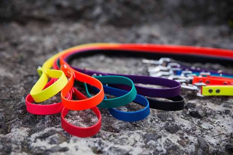 Laisse régulière - Collection Splash