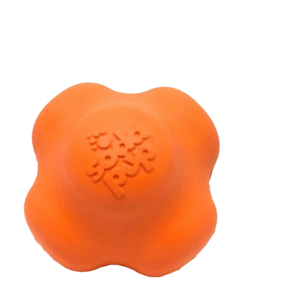 Crazy bounce ultra durable - Jouet à mâcher