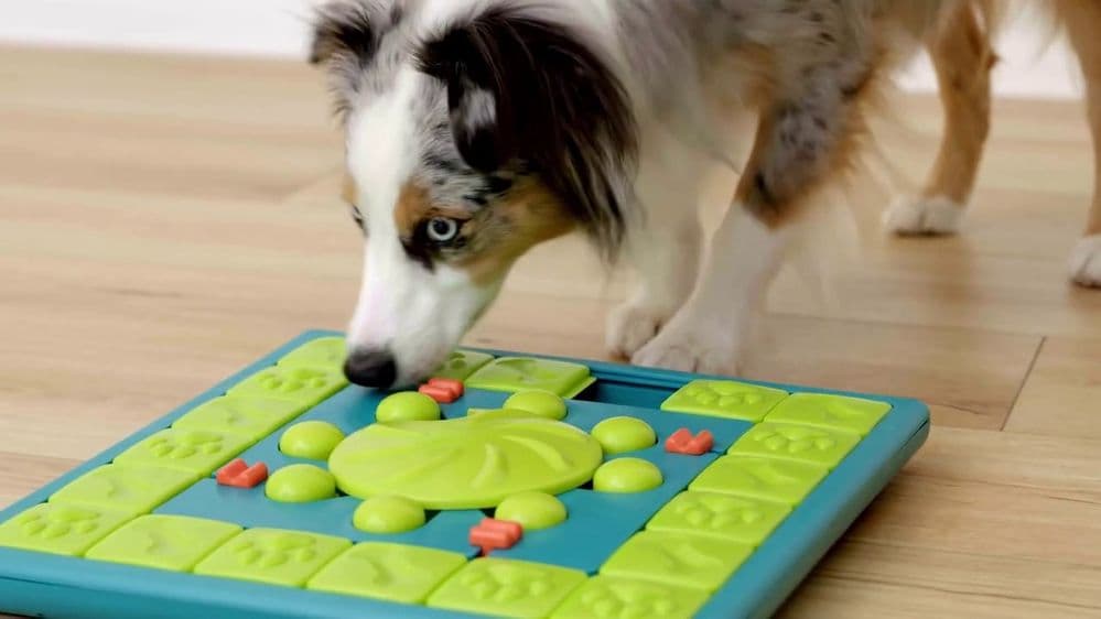 Casse-tête MultiPuzzle - Nina Ottosson